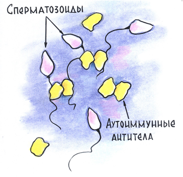 Бесплодный брак