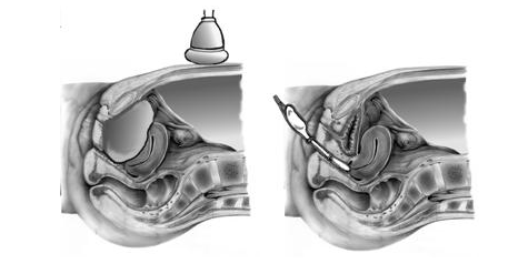 image001.png